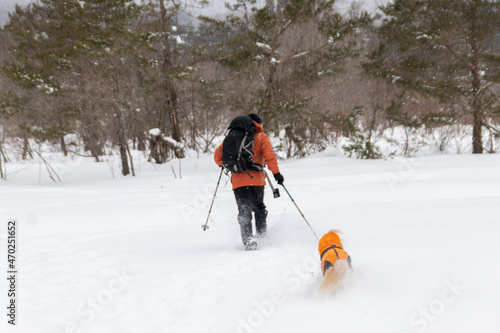 犬とスノーシュートレッキング