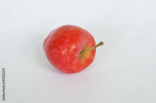 red candy apples on white background photo