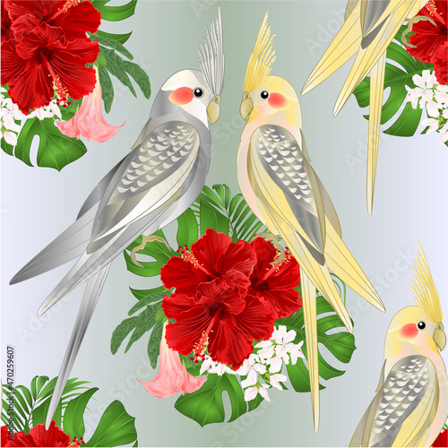 Seamless texture Cinnamon and Yellow cockatiel  tropical bird   parrot watercolor style and tropicel flowers hibiscus vintage vector illustration editable hand draw