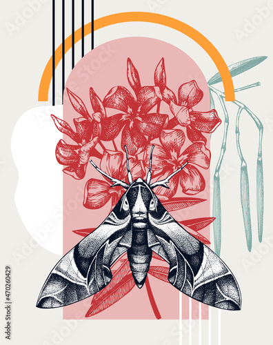 Collage style oleander hawk moth vector illustration. Hand-sketched butterfly on oleander. Trendy design with insects,floral, geometric shapes, and abstract elements. Perfect for print, poster, card