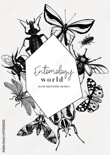 Hand-sketched insect wreath template. Hand drawn beetles, bugs, butterflies, dragonfly, cicada, moths, bee illustrations in vintage style. Entomological frame design with insects outlines