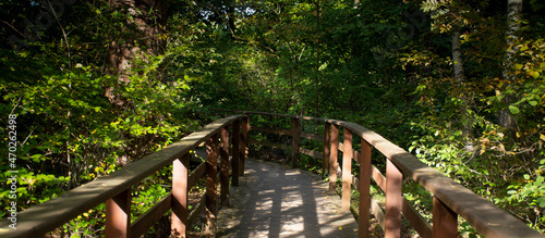 Wooden walking path in the park in autumn