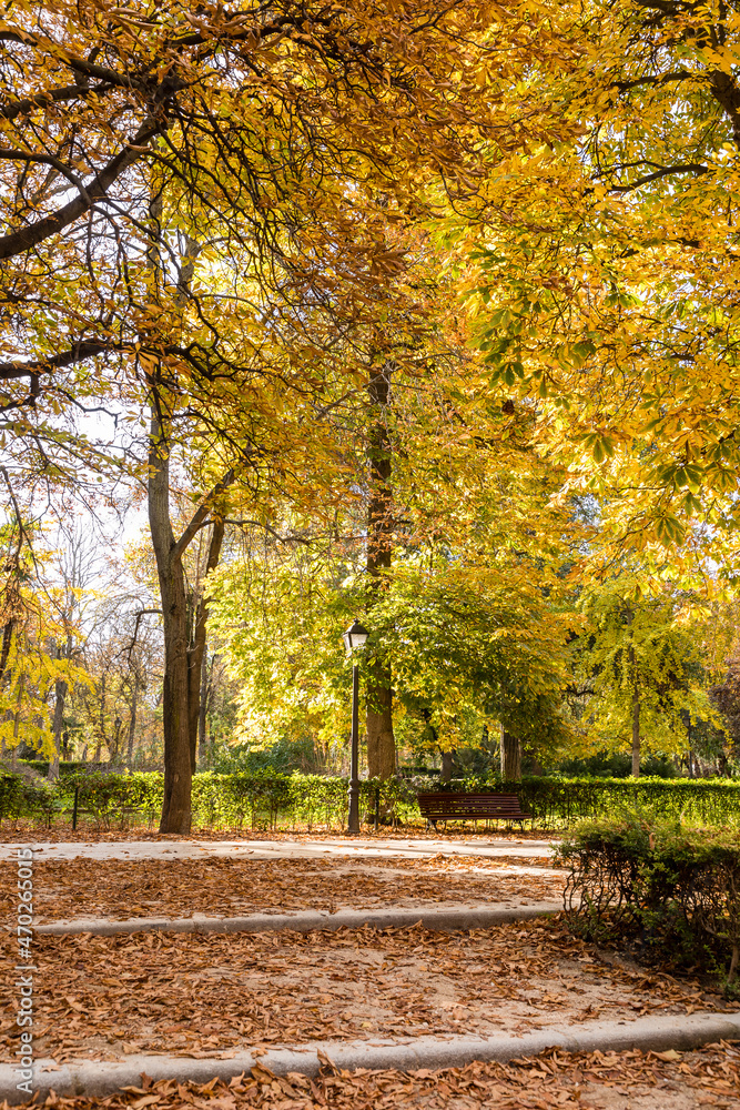 Autumn colors in El Retiro park in Madrid
