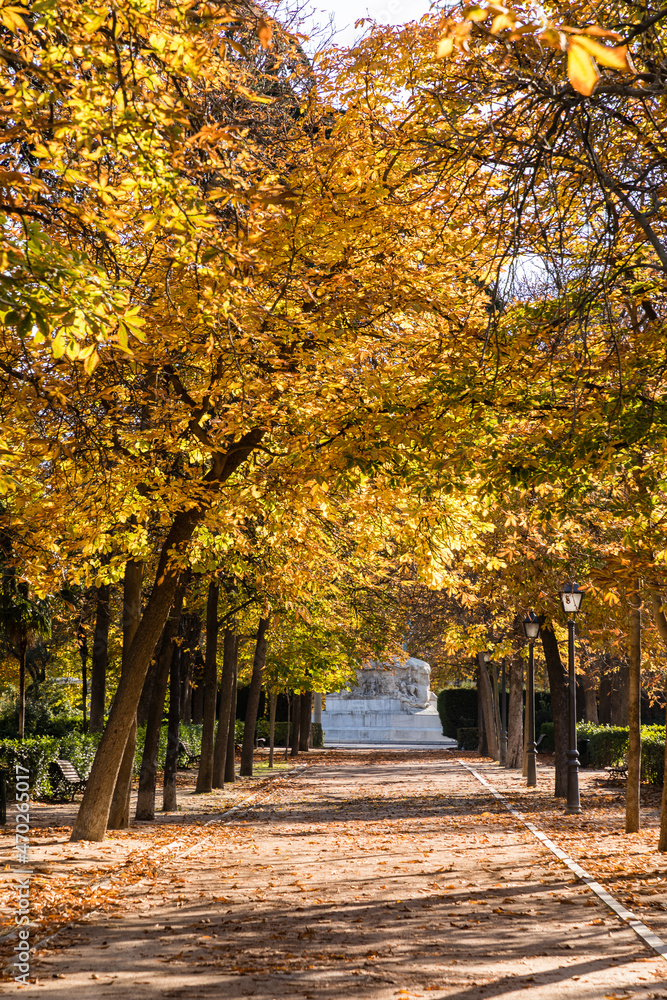 Naklejka premium Autumn colors in El Retiro park in Madrid