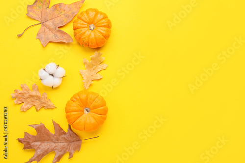 Cotton flower, fallen leaves and pumpkins on yellow background
