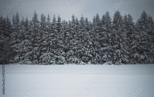 Schneelandschaft