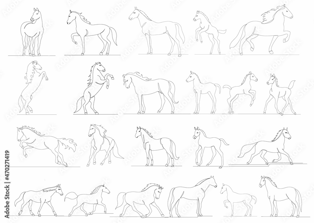 ArtStation - Horse Sketches