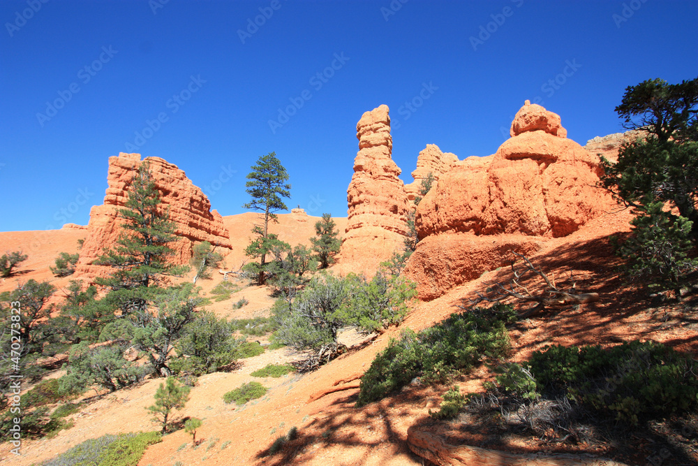 USA - Red canyon (Dixie National Forest)	
