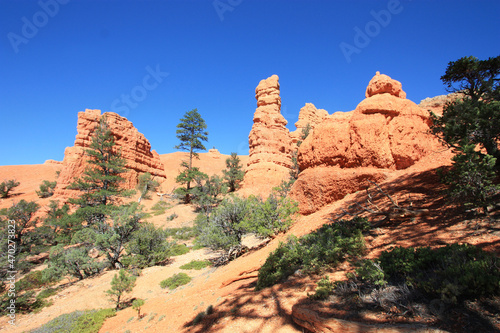 USA - Red canyon (Dixie National Forest) 