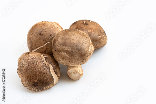 A group of mushrooms is placed on a white background.