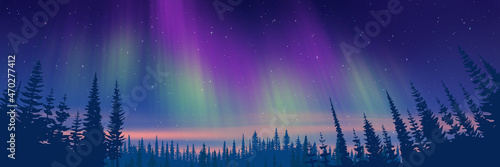 Contour of trees against the background of aurora borealis, winter holiday illustration