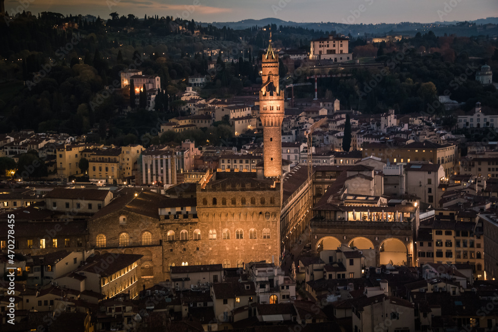 Florence from above