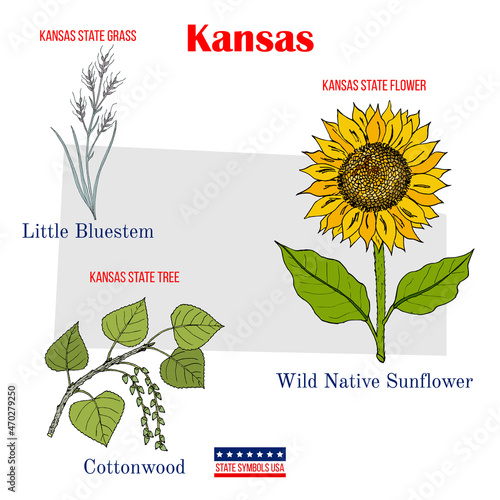 Kansas. Set of USA official state symbols