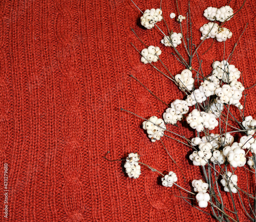 branches of a snowberry on a knitted blanket
