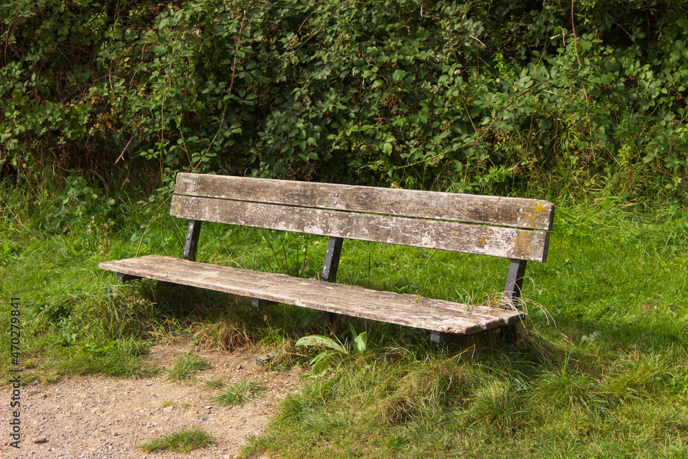 old bench old bench