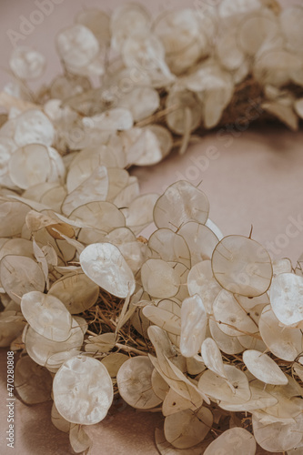Closeup of Christmas wreath made of lunaria leaves on neutral dusty pink background. Minimalist aesthetic boho pastel decoration photo