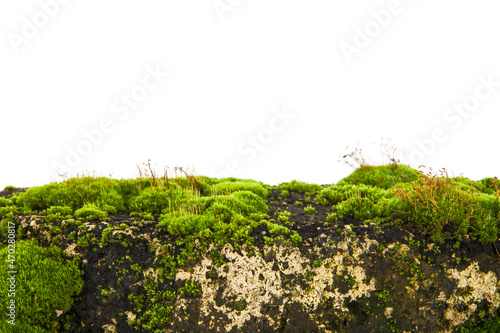 Old brick in moss isolated on white background.