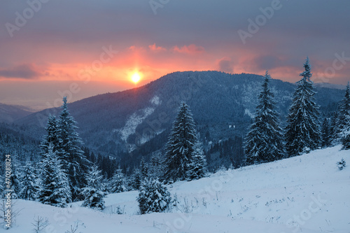 Amazing athmospheric landscape. winter scenery at sunset. Snow covered tree under sunlight. © alpinetrail