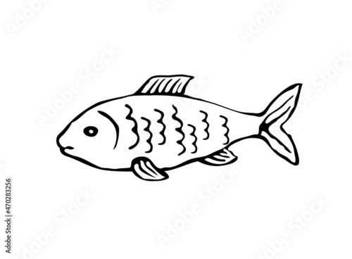 Vector illustration of a fish in sketch style