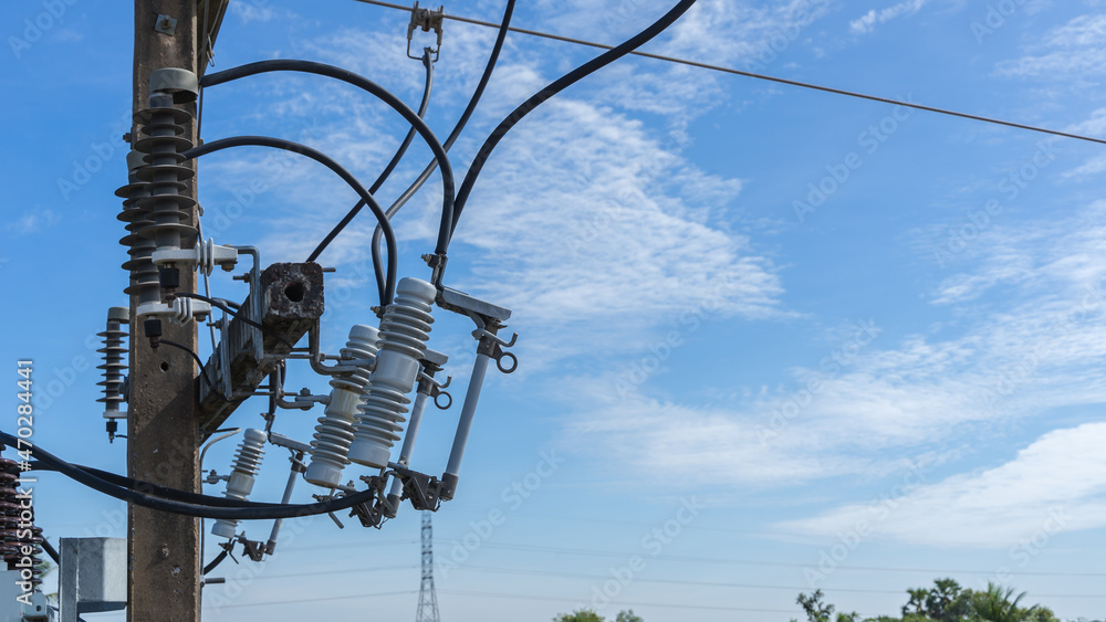 drop out switch and surge arrester, install on pole high for capacitor drop out switch and surge arrester, install on pole high for capacitor