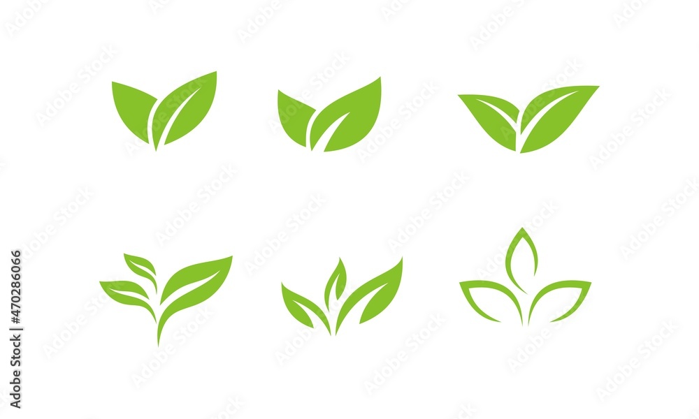 leaf leaf