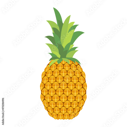 tropical fruit pineapple