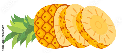 horizontal sliced fruit pineapple
