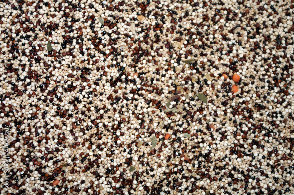 Mixed quinoa cropped, close up Mixed quinoa cropped, close up