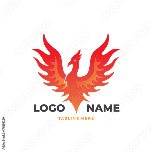 Phoenix bird logo template