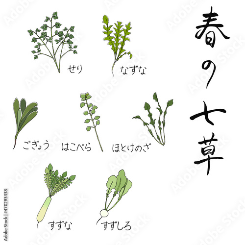 春の七草セット6
