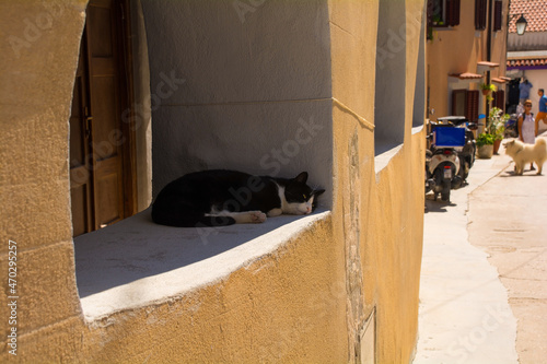 A cat relaxes in an open window in a wall in the historic coastal town of Baska on Krk island in the Primorje-Gorski Kotar County of western Croatia  © dragoncello