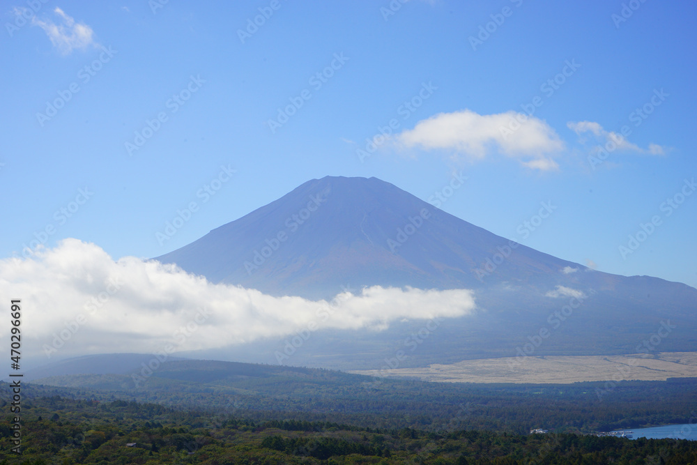 Autumn view with Japanese Pampas Grass or Susuk over Mt. Fuji in Yamanashi, Japan - 日本 山梨県 秋の景色 富士山 山中湖 Autumn view with Japanese Pampas Grass or Susuk over Mt. Fuji in Yamanashi, Japan - 日本 山梨県 秋の景色 富士山 山中湖