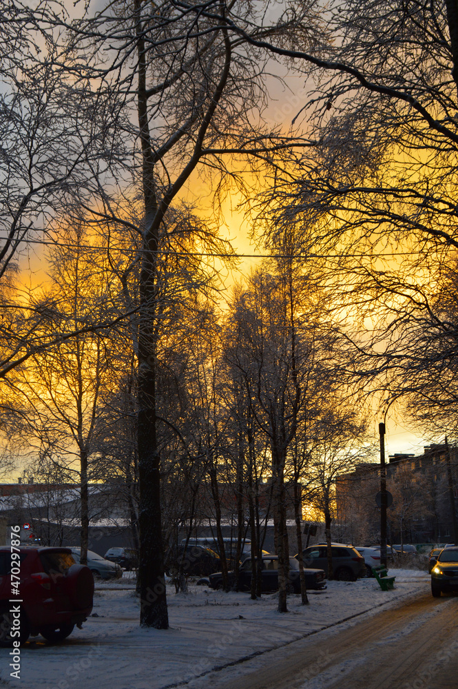 Fototapeta premium sunset in the city