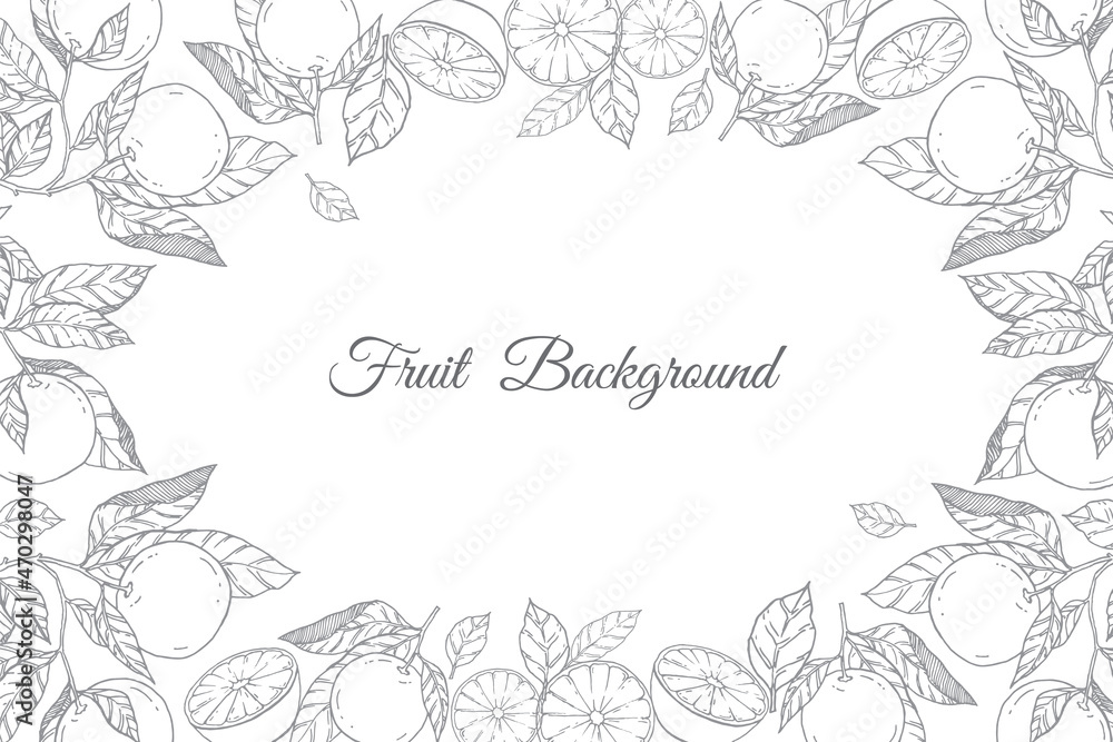Fruit background with linear vector illustration Fruit background with linear vector illustration