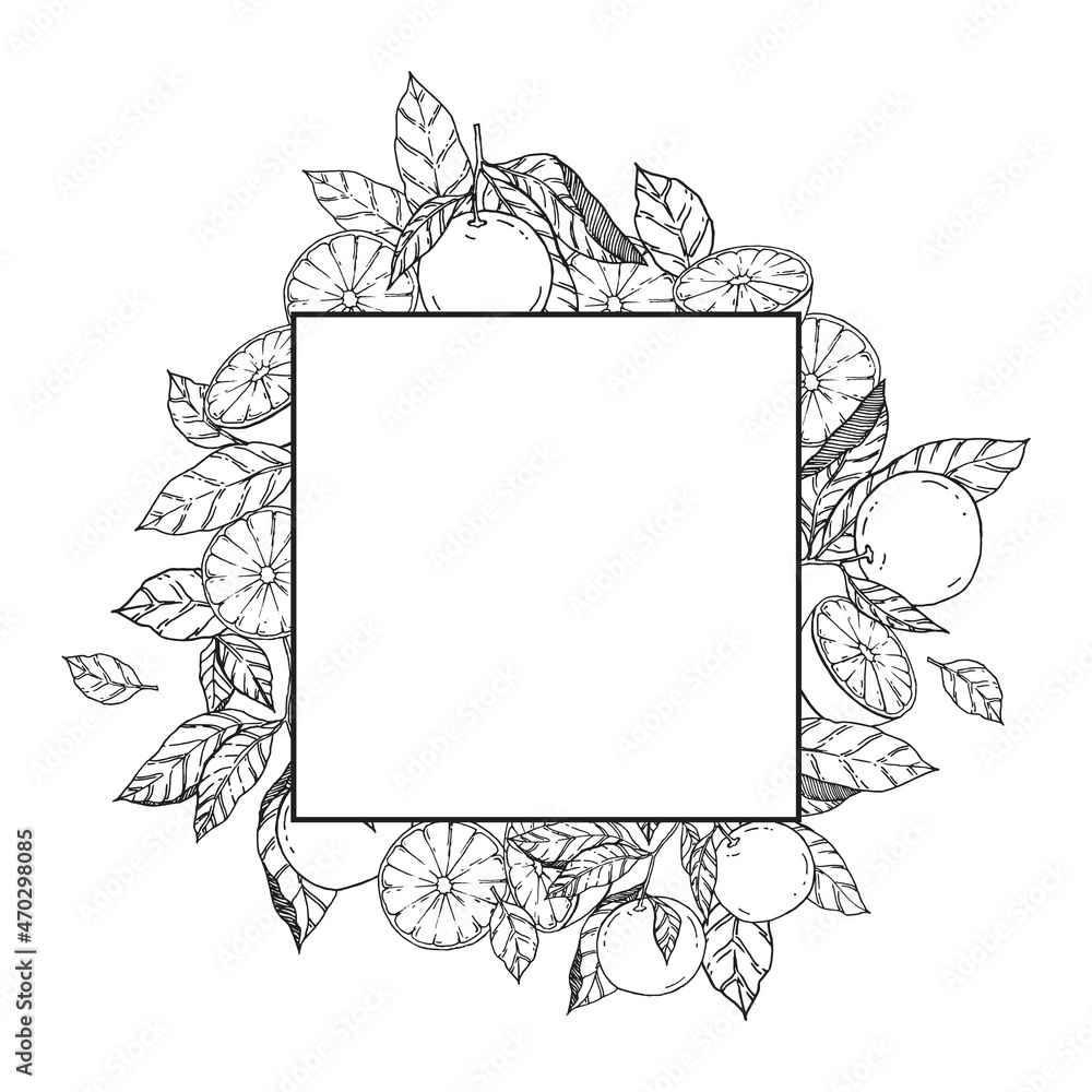 Fruit square frame graphic illustration with black and white color Fruit square frame graphic illustration with black and white color