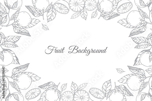 Fruit background with linear vector illustration