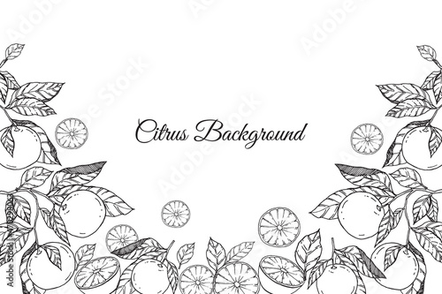 Illustration of fruit background with black line