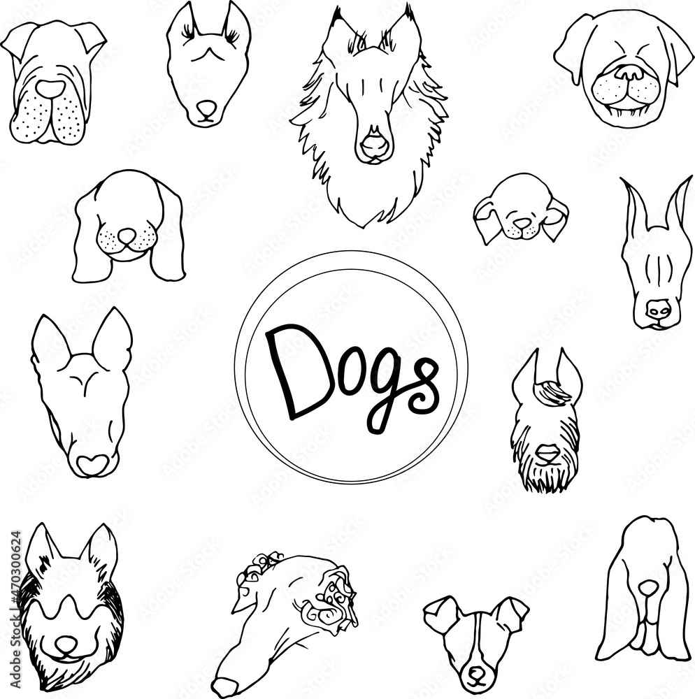 vector set of contours of dog faces