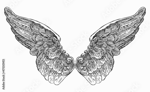 Hand drawing of vintage decorative fantasy wings