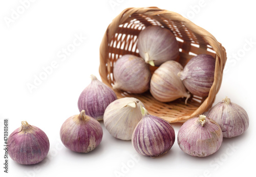 Solo or single clove garlic photo