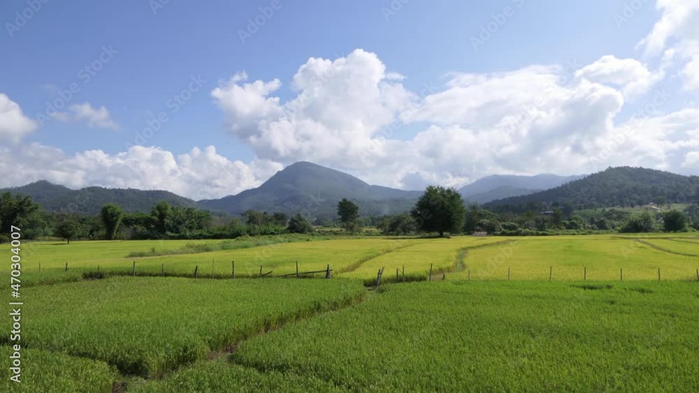 Time lapse of Beautiful movement of cloud over the greenery rice fields and mountain at Chiangmai province, north of Thailand. Nature and landscape concept. Time lapse of Beautiful movement of cloud over the greenery rice fields and mountain at Chiangmai province, north of Thailand. Nature and landscape concept.
