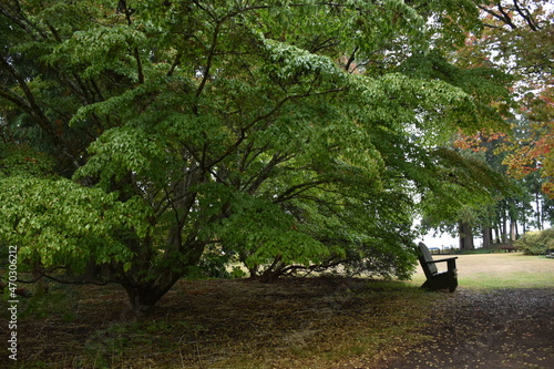 Milner Garden, Qualicum Beach, Vancouver Island, BC, Canada photo