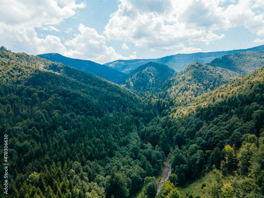 aerial view of forest in carpathian mountains