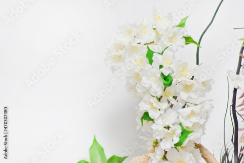 Flores blancas sobre fondo blanco