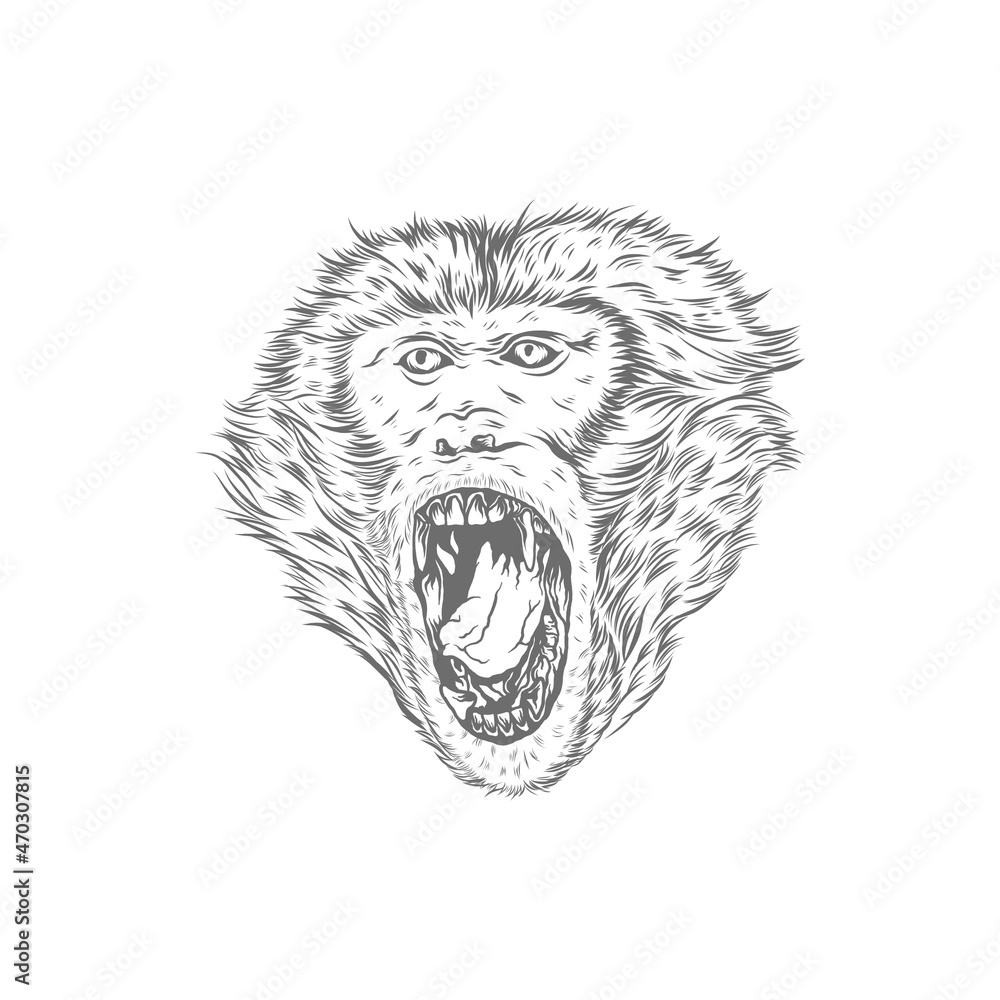 Head Monkey With Handdrawn Style Monocolor Head Monkey With Handdrawn Style Monocolor