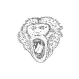 Head Monkey With Handdrawn Style Monocolor