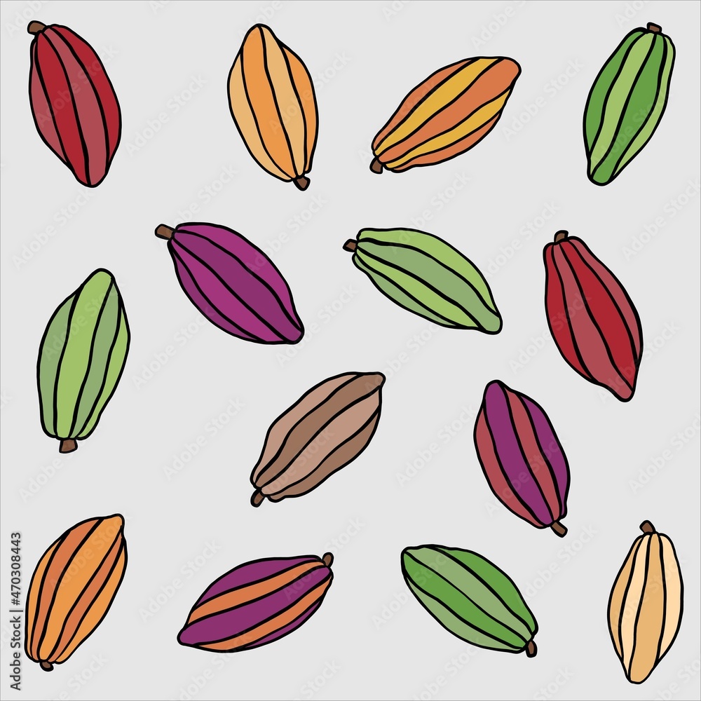 doodle freehand sketch drawing of cacao fruit. doodle freehand sketch drawing of cacao fruit.
