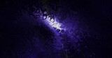 abstract artistic dark blue and purple surface gradient underwater wave rays shining texture with futuristic water splash on black.