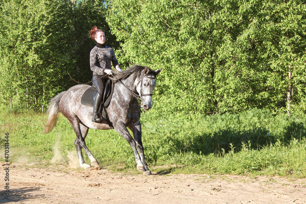 A young beautiful woman trotting a horse A young beautiful woman trotting a horse