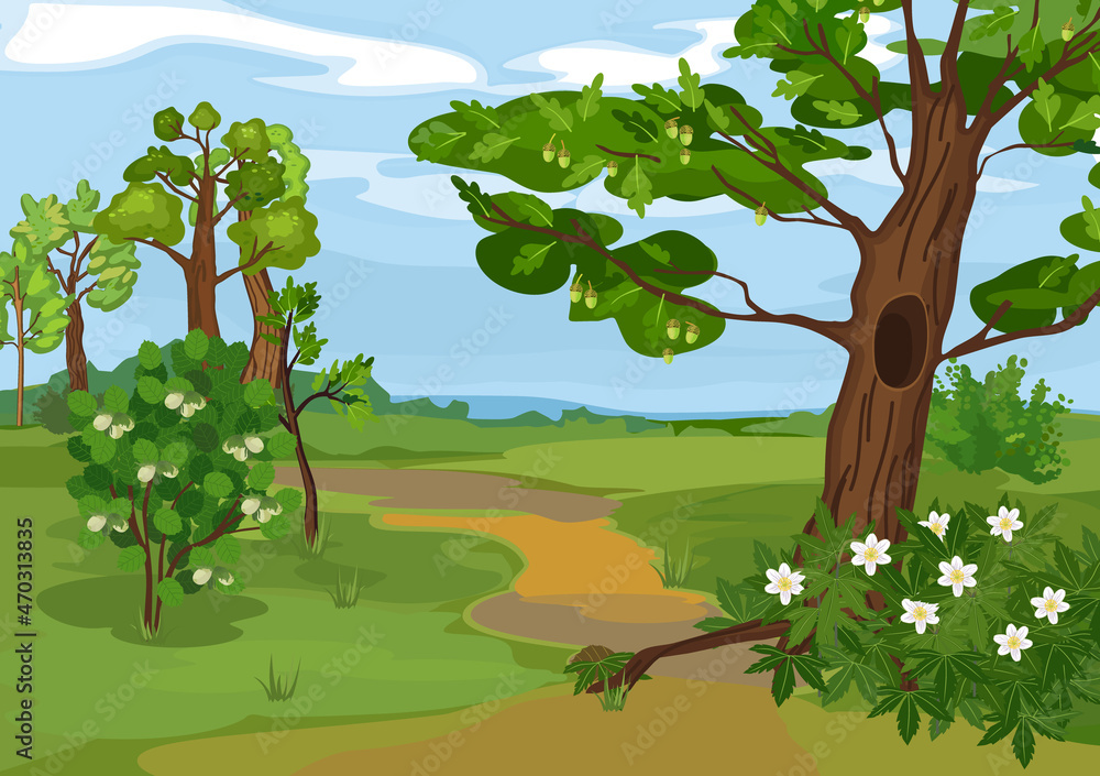 Spring cartoon landscape with blue sky and thick trunks of old trees and wood anemone flowers in grove Spring cartoon landscape with blue sky and thick trunks of old trees and wood anemone flowers in grove